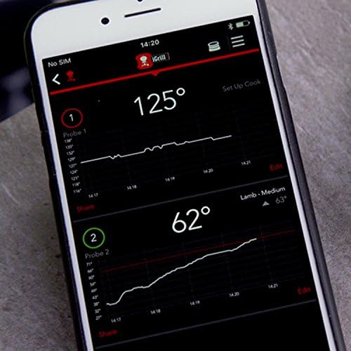 Weber Igrill Mini Smartes Grillthermometer Mit Bluetooth 7220