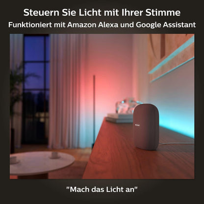 Philips Hue White & Color Ambiance Gradient Lightstrip Basis-Set (2 Meter)