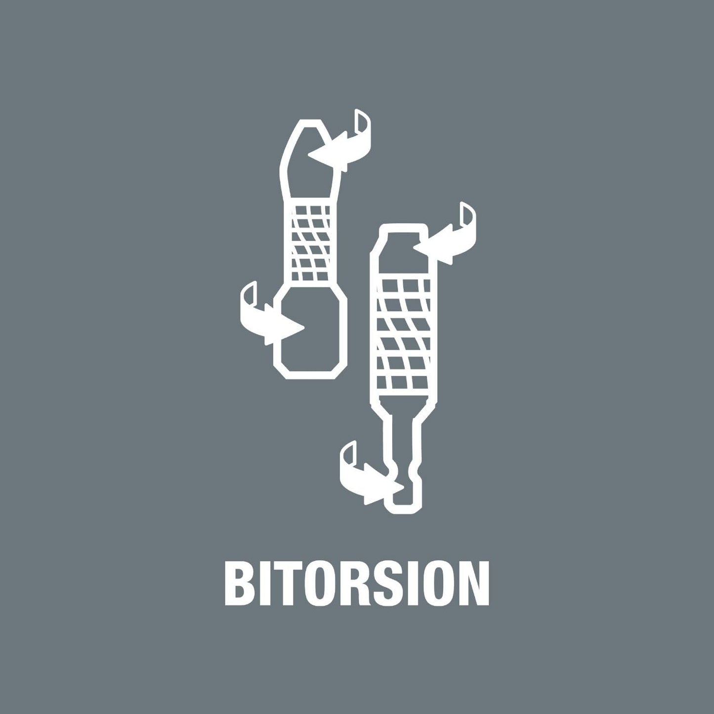 Wera Bit-Sortiment, Bit-Check 10 BiTorsion 3 SB, 10-teilig, 05073418001, 18 x 7.5 x 0.4 cm