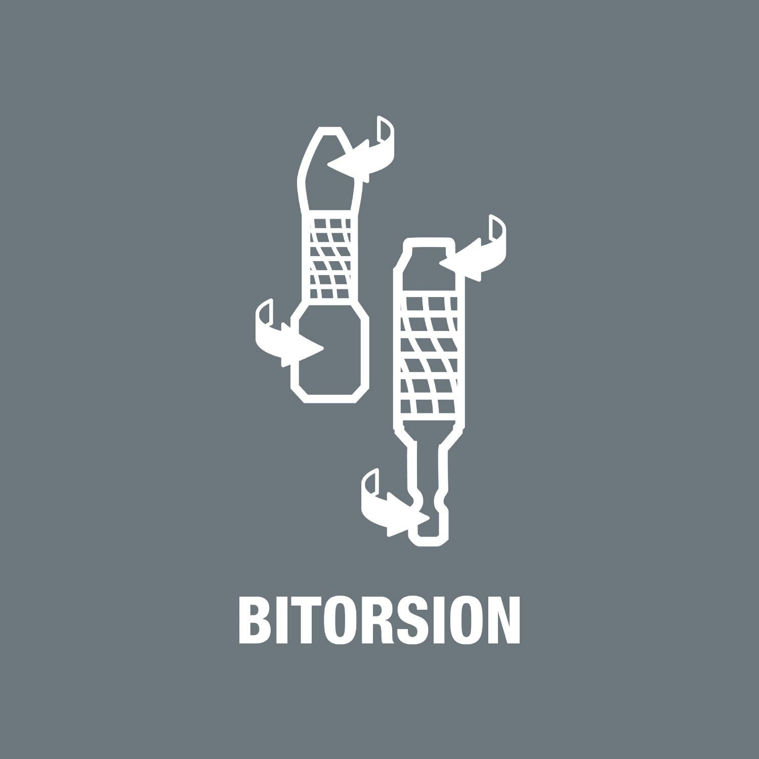 Wera Bit-Sortiment, Bit-Check 10 BiTorsion 3 SB, 10-teilig, 05073418001, 18 x 7.5 x 0.4 cm