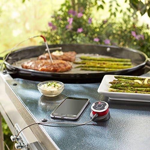 Weber Igrill Mini Smartes Grillthermometer Mit Bluetooth 7220