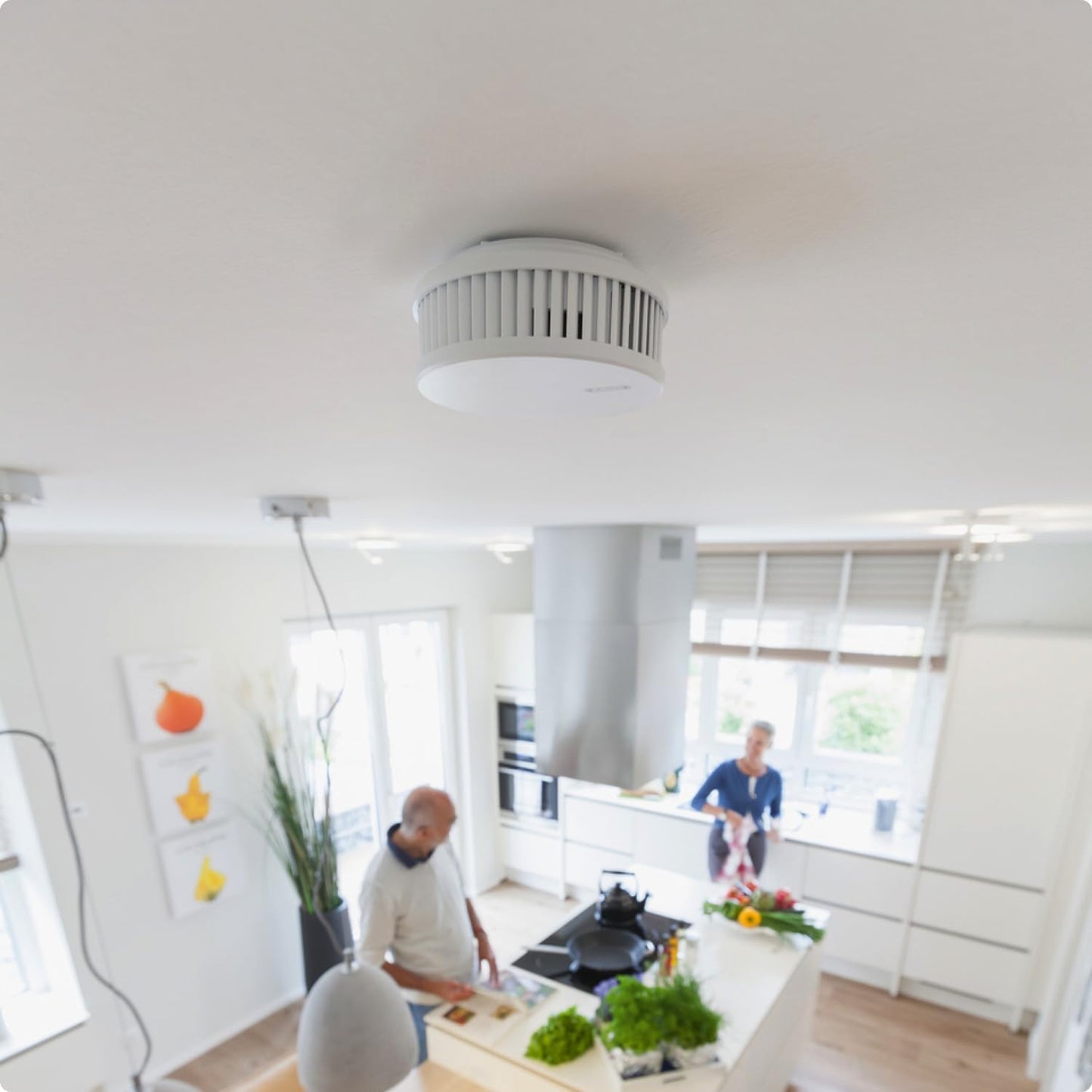 ABUS Rauchmelder RWM250 Mit 12-Jahres-Batterie & Hitzewarnfunktion - Weiß