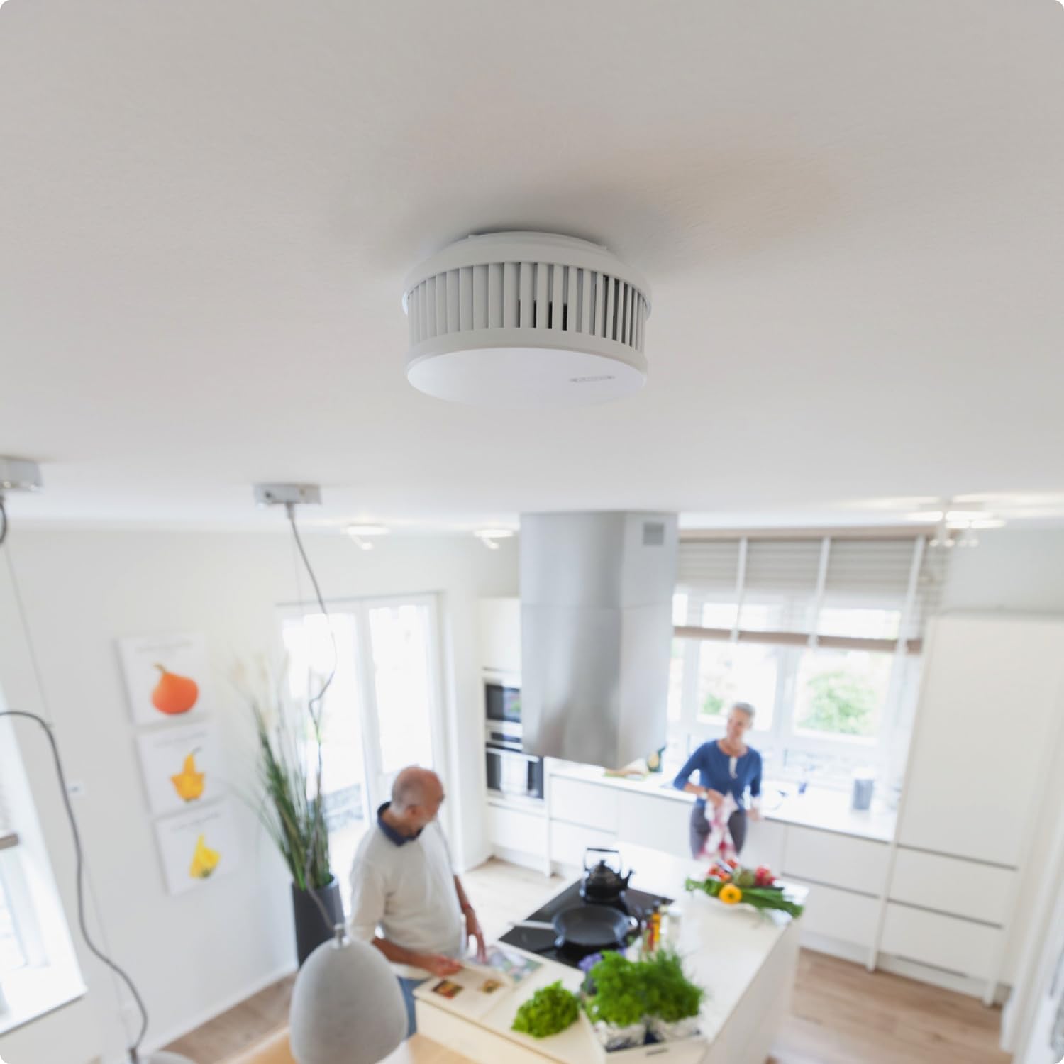 ABUS Rauchmelder RWM250 Mit 12-Jahres-Batterie & Hitzewarnfunktion - Weiß