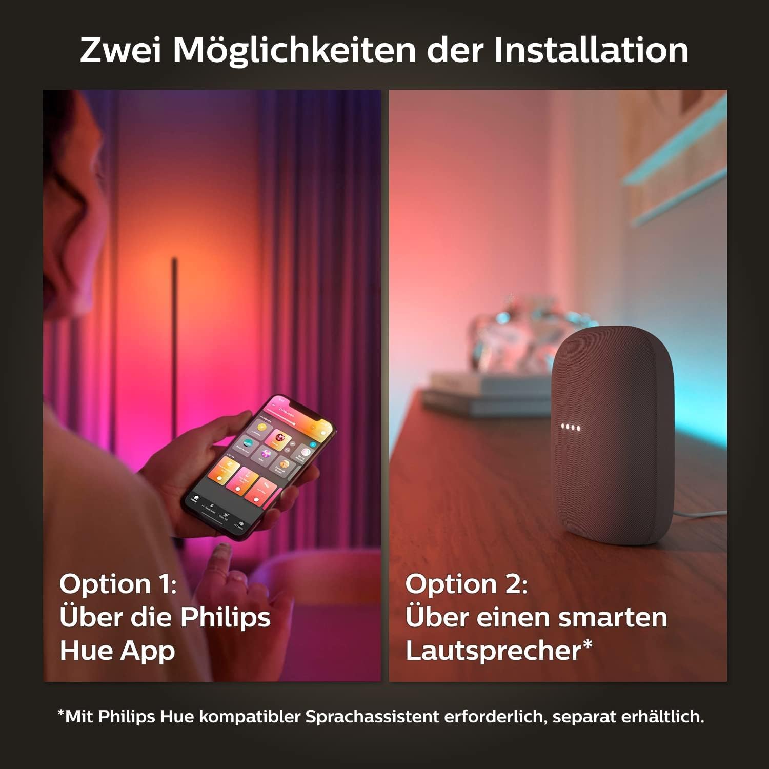 Philips Hue White & Color Ambiance Gradient Lightstrip Basis-Set (2 Meter)