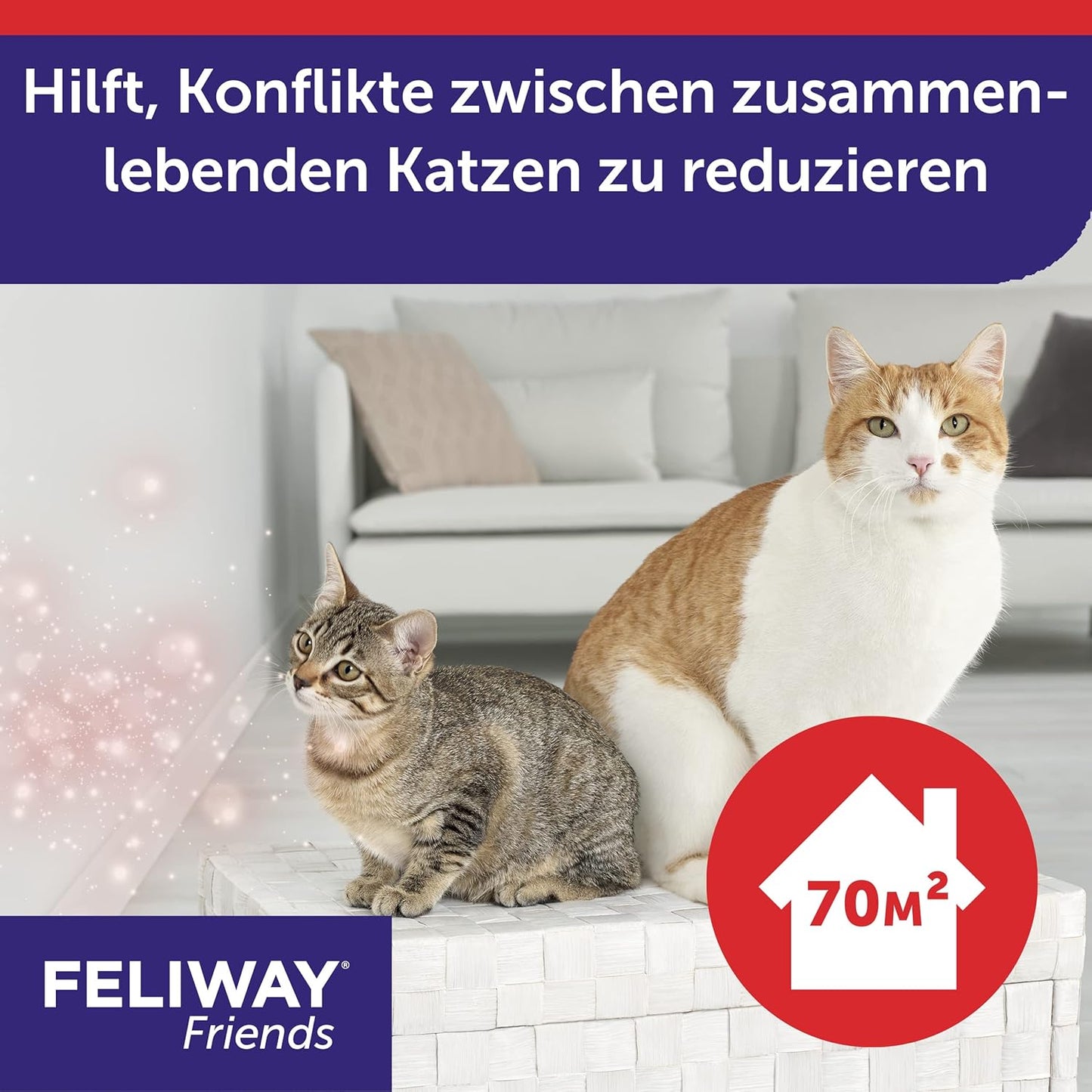 FELIWAY Friends Vorteilspack 3x30 Tage Nachfüllflakon-Vorteilspack, 3x 48ml
