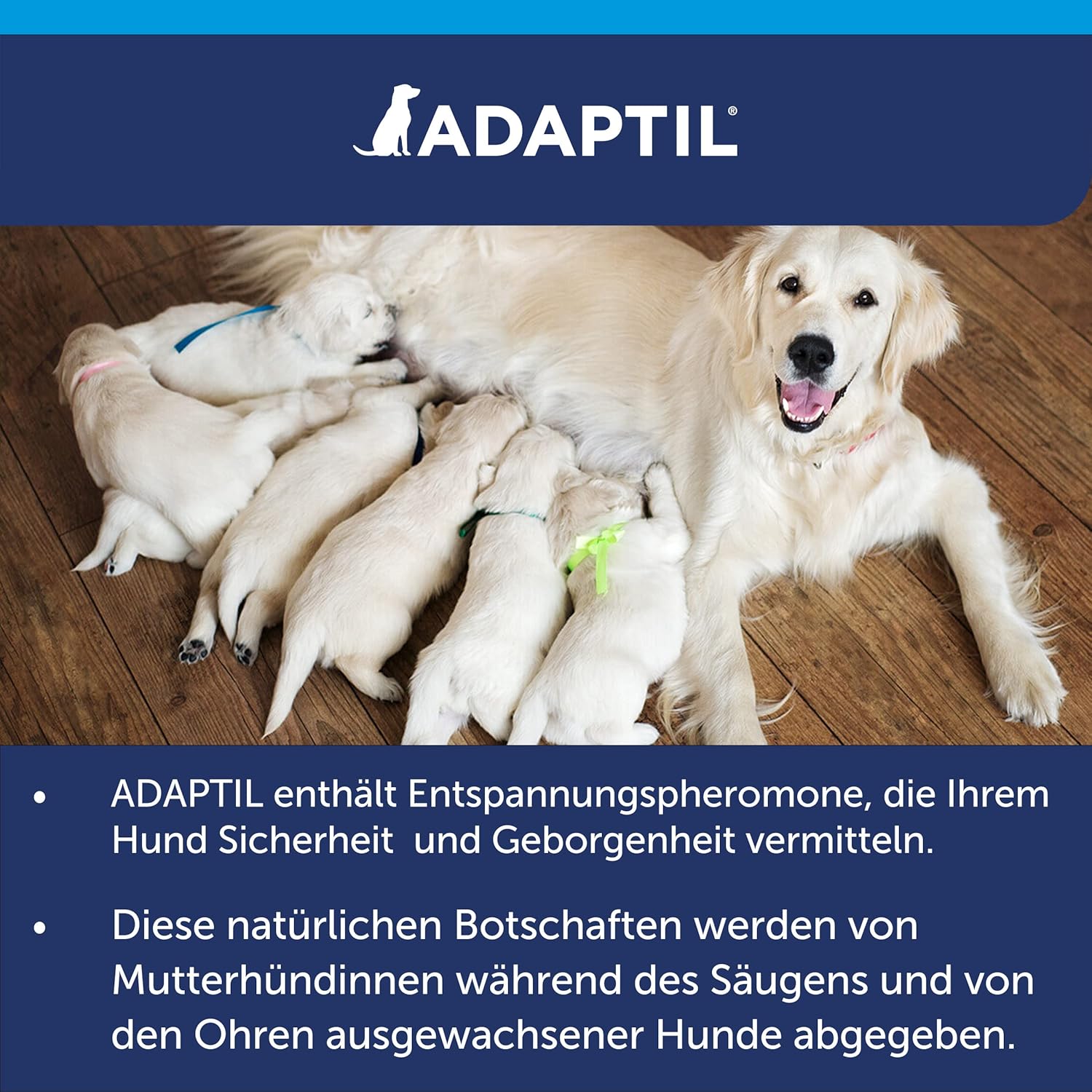 ADAPTIL Calm Vorteilspack Für Hunde | 3X Nachfüllflakon | 3X 48Ml