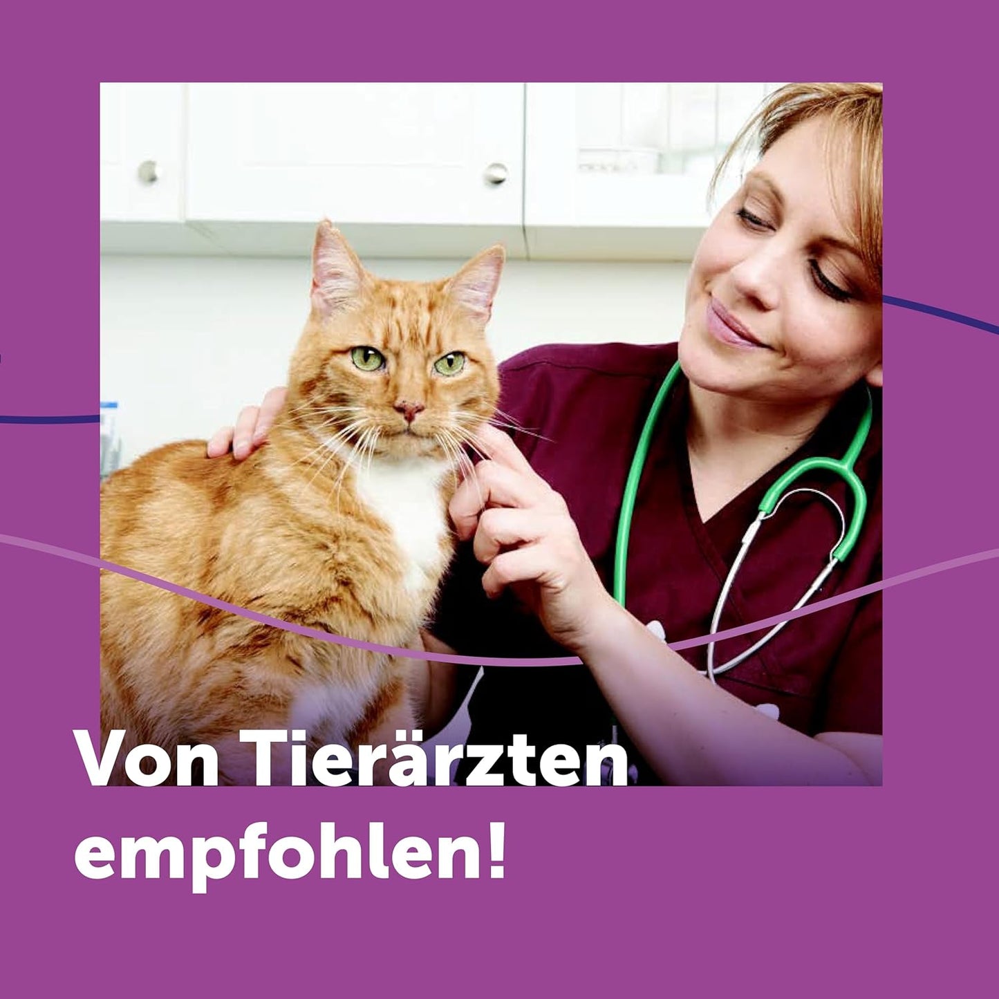 FELIWAY Classic 30 Tage Pheromon Verdampfer Start-Set, 48ml