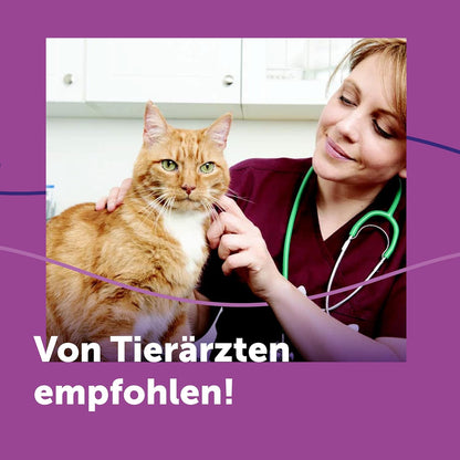 FELIWAY Classic 30 Tage Pheromon Verdampfer Start-Set, 48ml