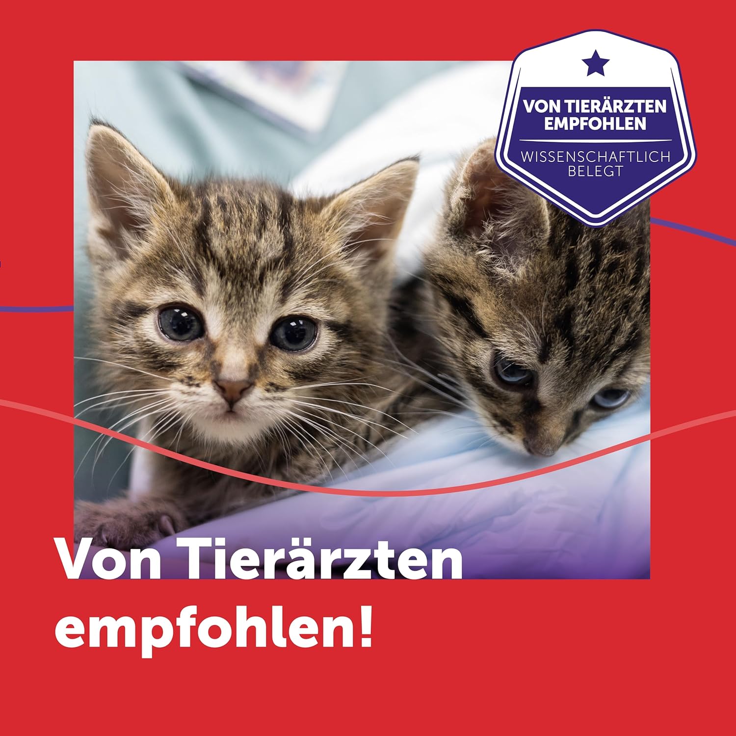 FELIWAY Friends 30 Tage Pheromon Verdampfer Start-Set, 48ml