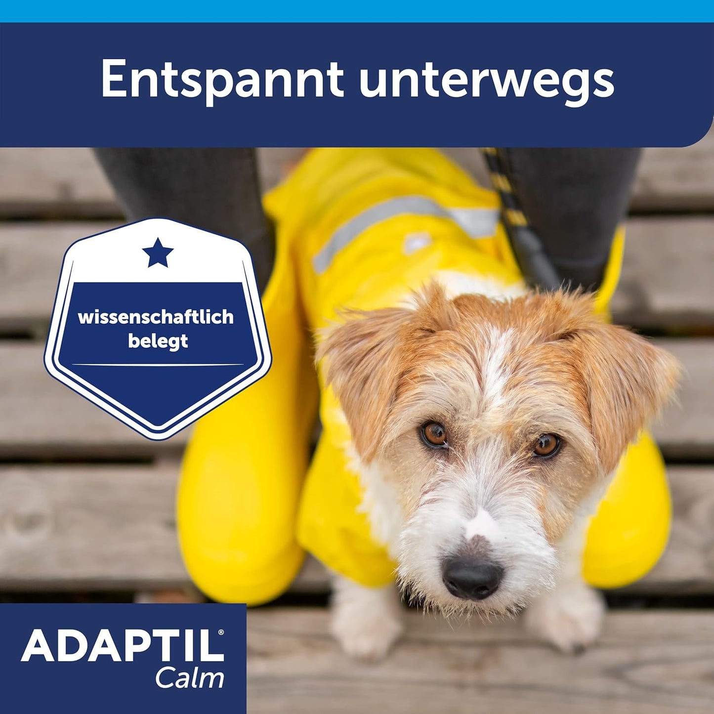 ADAPTIL Calm Halsband Für Kleine Hunde