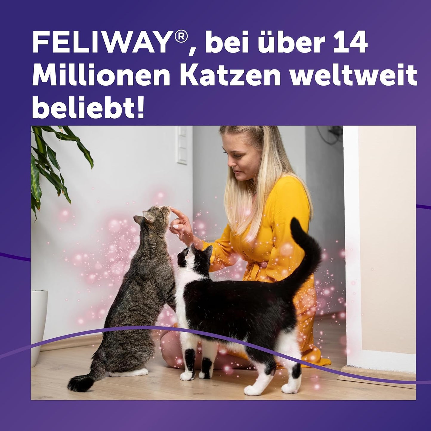 FELIWAY Friends 30 Tage Pheromon Verdampfer Start-Set, 48ml