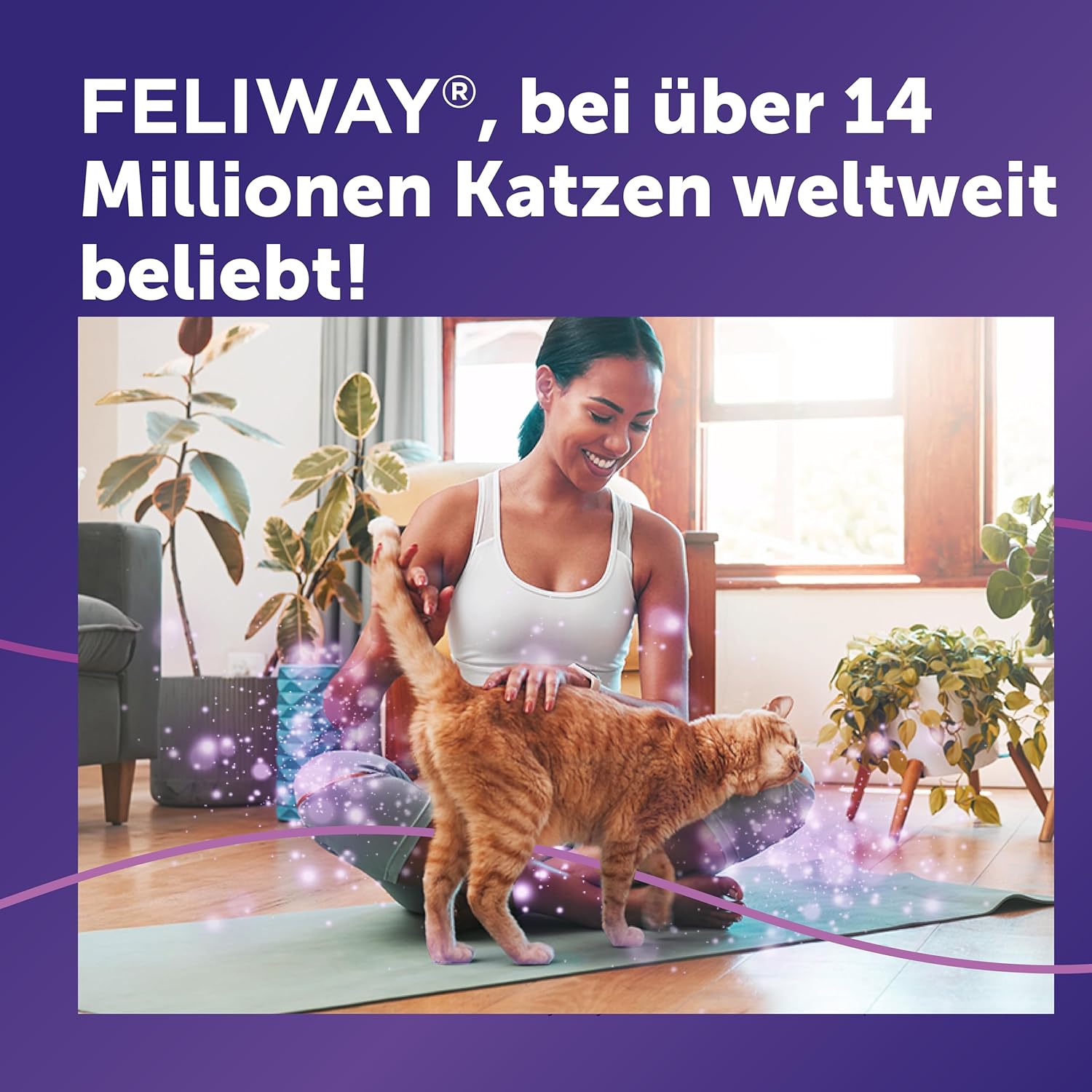 FELIWAY Classic 30 Tage Pheromon Verdampfer Start-Set, 48ml