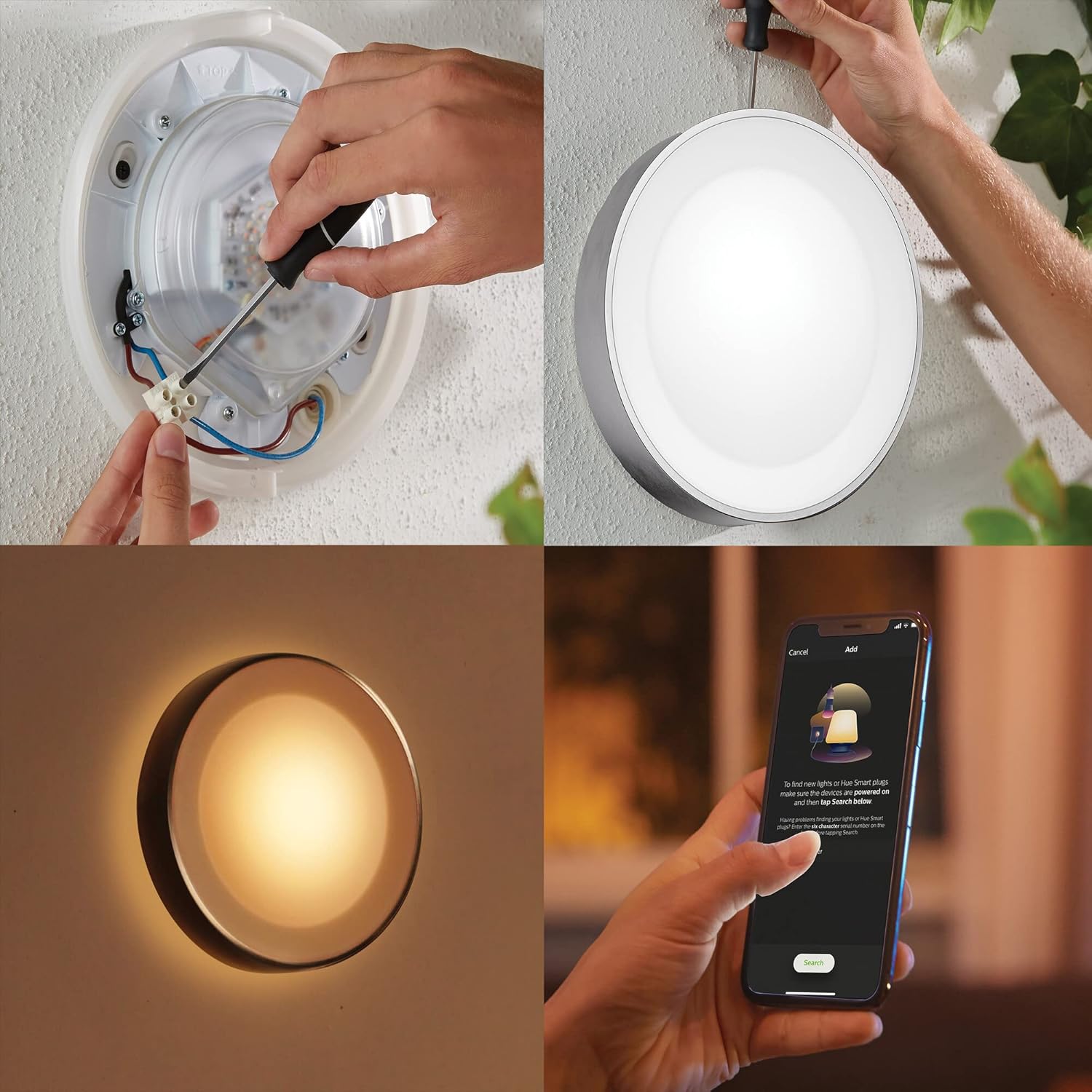 Philips Hue White & Color Ambiance Daylo Wandleuchte Silber