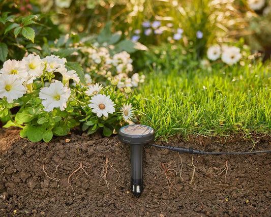 Gardena Bodenfeuchtesensor: Automatische Bewässer (01867-20)